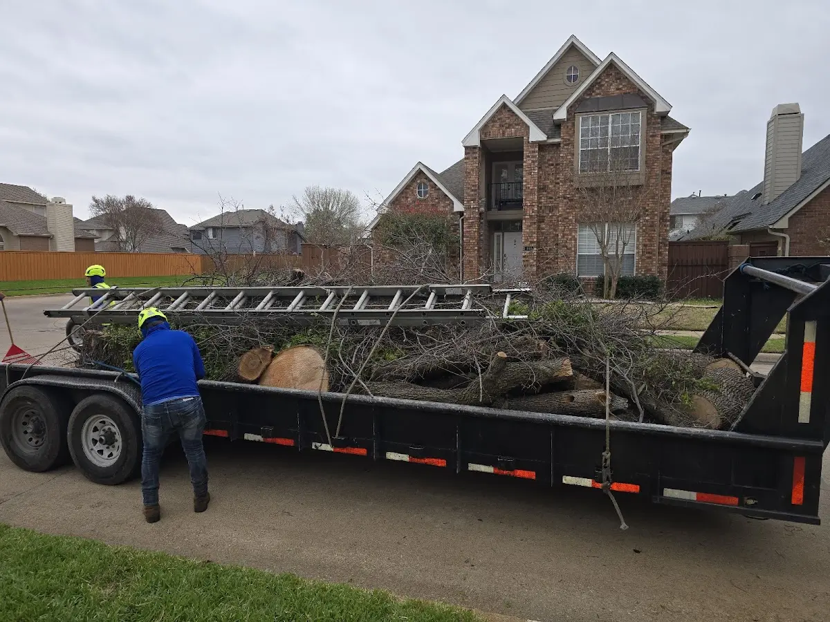 Expert Tree Fertilization with proper safety equipment in Fairlee